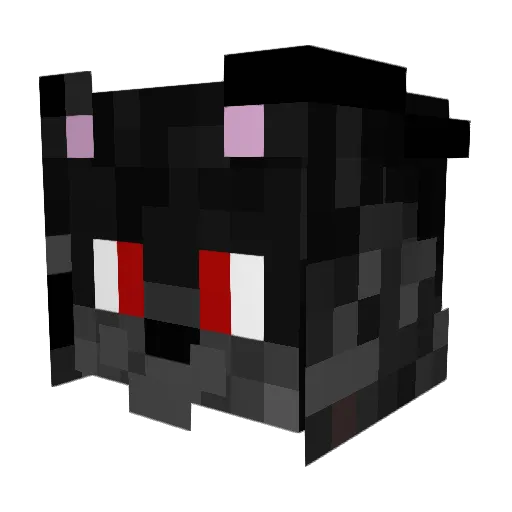 Kimjakobsen78 Minecraft avatar head, 3D render