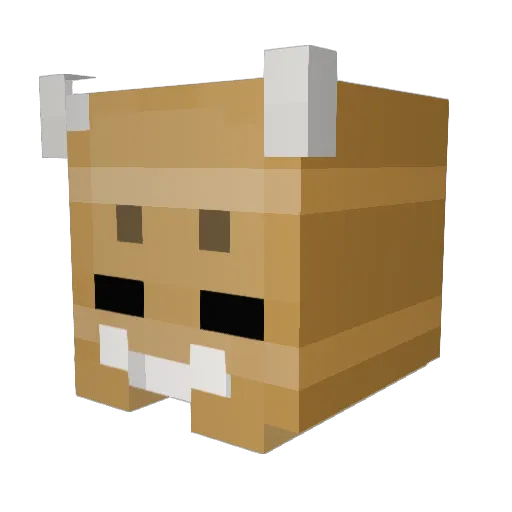 Kimmangbum Minecraft avatar head, 3D render