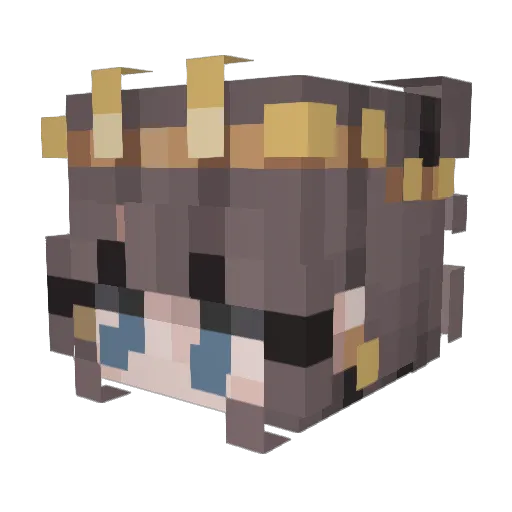 Kimmikkokat Minecraft avatar head, 3D render