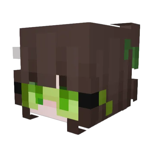 Kimmunicator Minecraft avatar head, 3D render