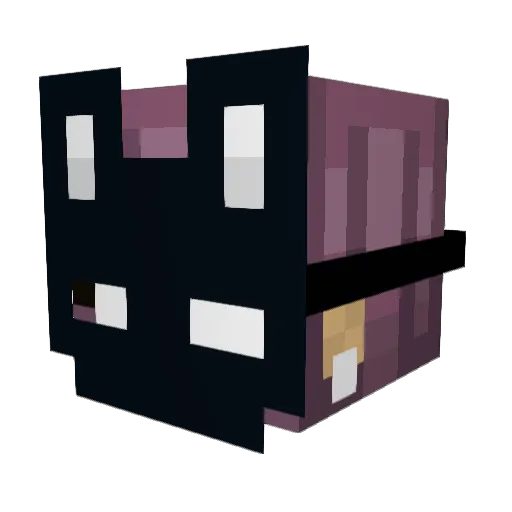 Kimmy_bunn Minecraft avatar head, 3D render