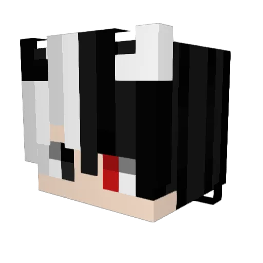 Kimper44 Minecraft avatar head, 3D render