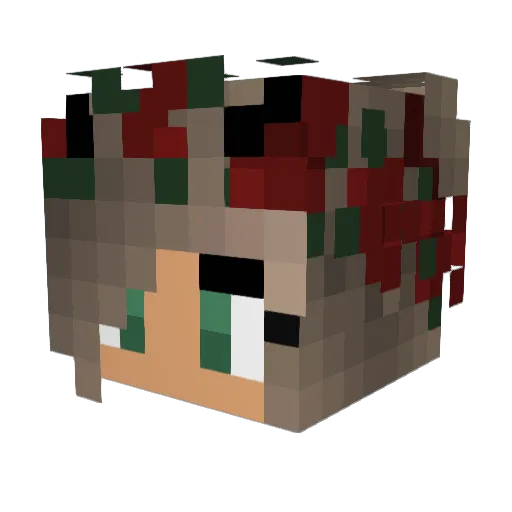 Kimpie1234 Minecraft avatar head, 3D render