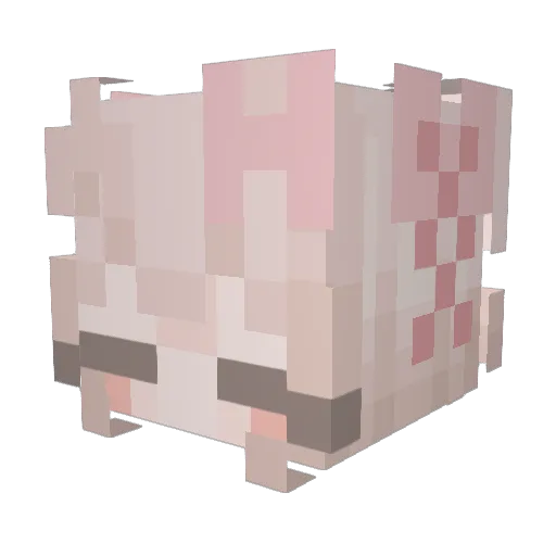 Kimshwa Minecraft avatar head, 3D render