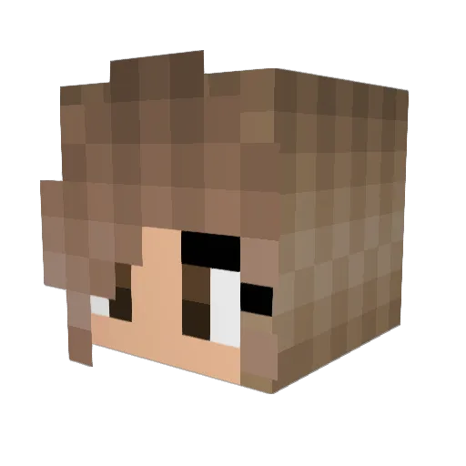 Kimx17 Minecraft avatar head, 3D render