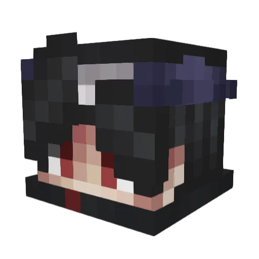 KinKShamer9 Minecraft avatar head, 3D render