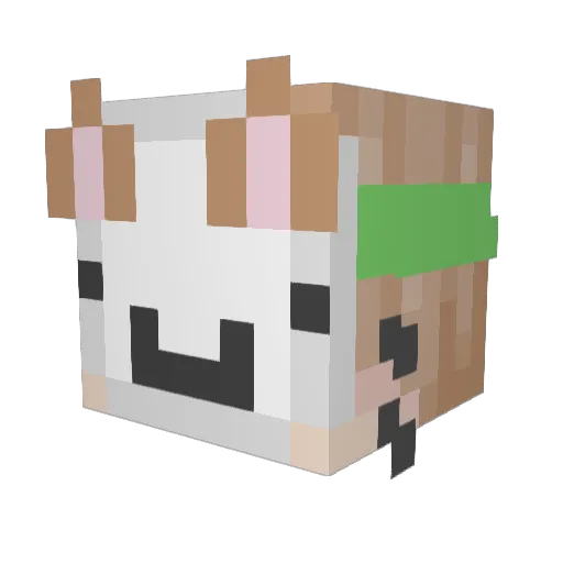 KindKitten69 Minecraft avatar head, 3D render