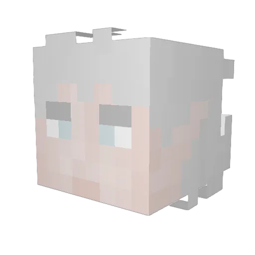 KindOfToast_ Minecraft avatar head, 3D render