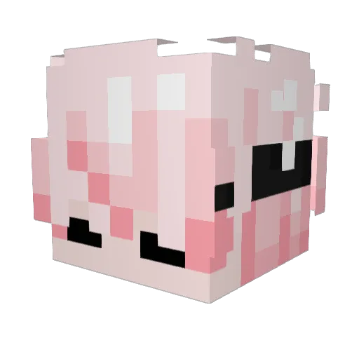 Kindaro_ Minecraft avatar head, 3D render