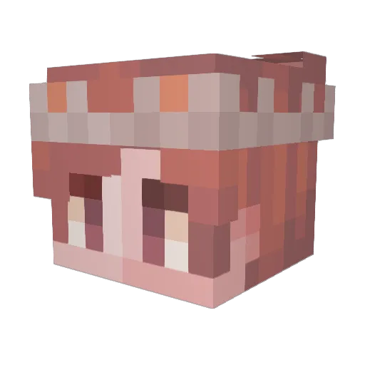 Kindelar Minecraft avatar head, 3D render