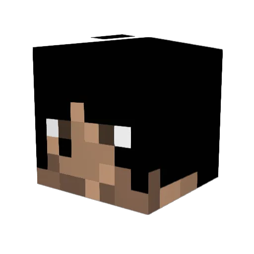 Kinder1_1 Minecraft avatar head, 3D render