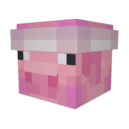 KindlyPuppy3193 Minecraft avatar head, 3D render