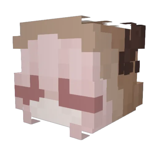 KineticHarp399 Minecraft avatar head, 3D render