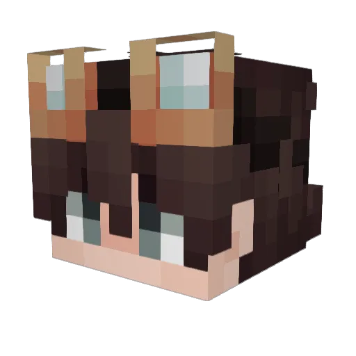 King0fShrimp23 Minecraft avatar head, 3D render