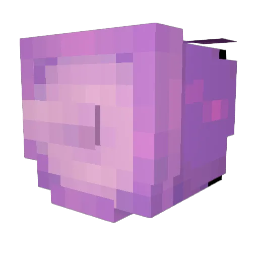 KingAnthony11 Minecraft avatar head, 3D render