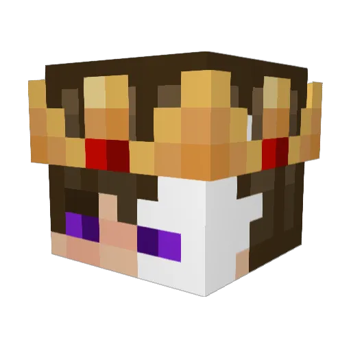 KingBas25 Minecraft avatar head, 3D render