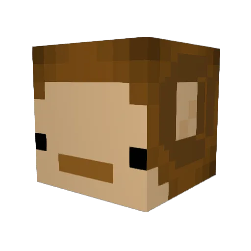 KingBigTurtle Minecraft avatar head, 3D render