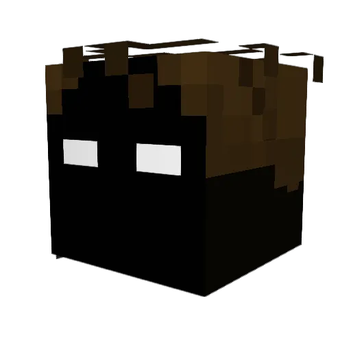 KingBlaze4473 Minecraft avatar head, 3D render