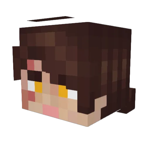 KingBr0dy Minecraft avatar head, 3D render