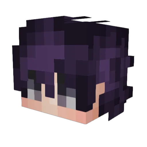 KingCastle_ Minecraft avatar head, 3D render