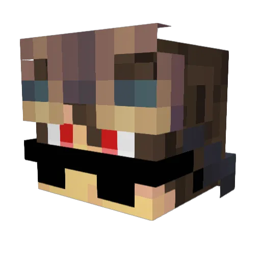 KingChappe Minecraft avatar head, 3D render