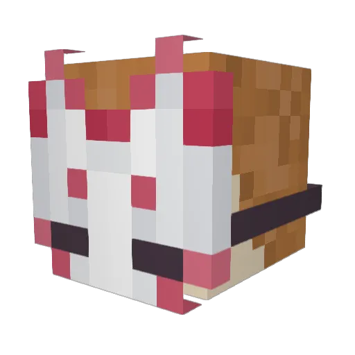 KingColebee1 Minecraft avatar head, 3D render