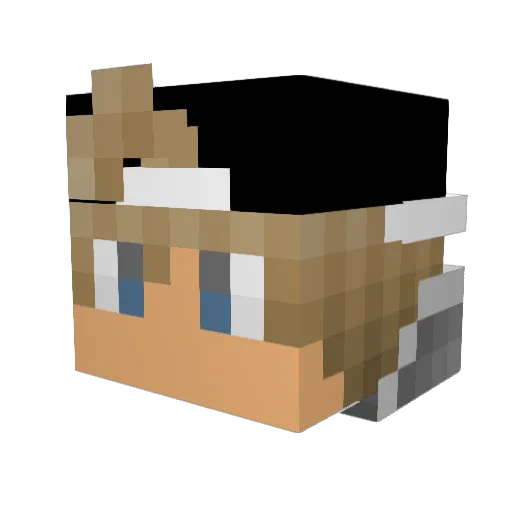 KingCosmic1 Minecraft avatar head, 3D render