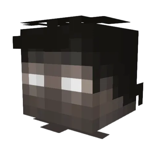 KingCrashKoopa Minecraft avatar head, 3D render