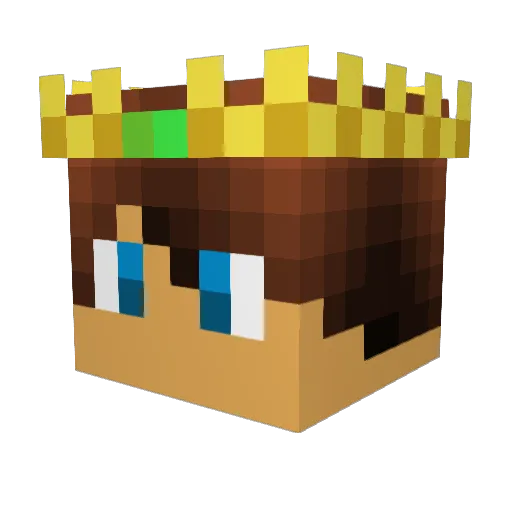 KingDarius3 Minecraft avatar head, 3D render