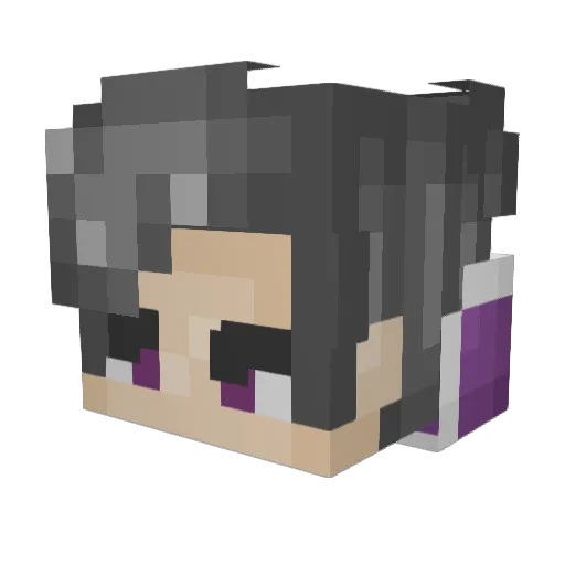 KingDoge17 Minecraft avatar head, 3D render