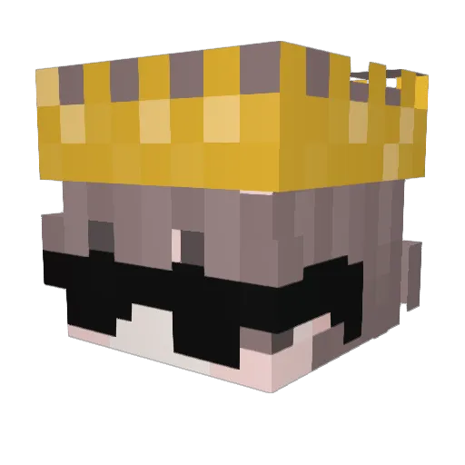 KingDuckBoy_ Minecraft avatar head, 3D render