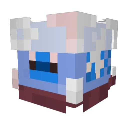 KingF1sh21 Minecraft avatar head, 3D render