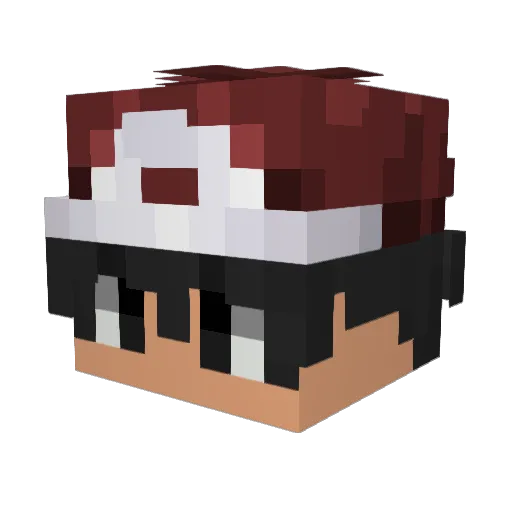 KingFisher89 Minecraft avatar head, 3D render