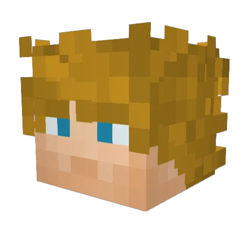 KingFjord11 Minecraft avatar head, 3D render