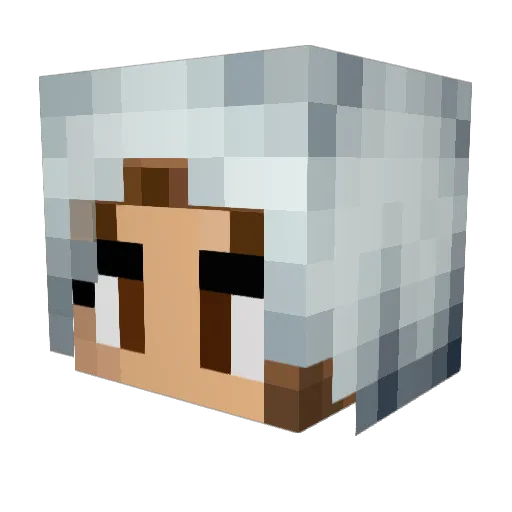 KingFries Minecraft avatar head, 3D render