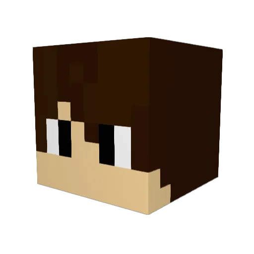 KingGuard06 Minecraft avatar head, 3D render