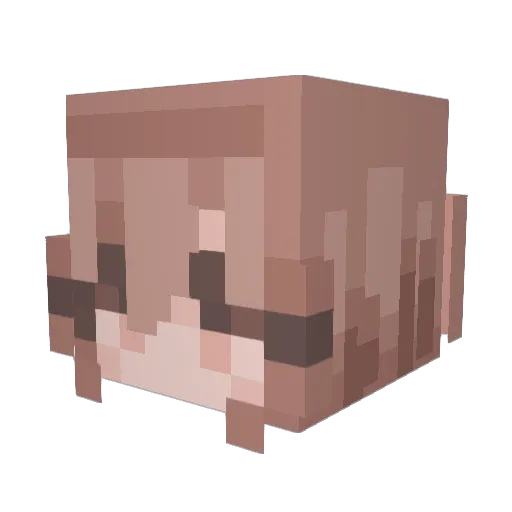 KingKFan132 Minecraft avatar head, 3D render