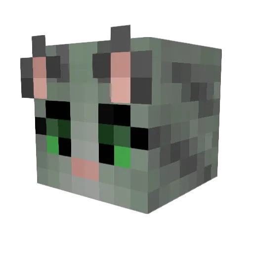KingKat213 Minecraft avatar head, 3D render