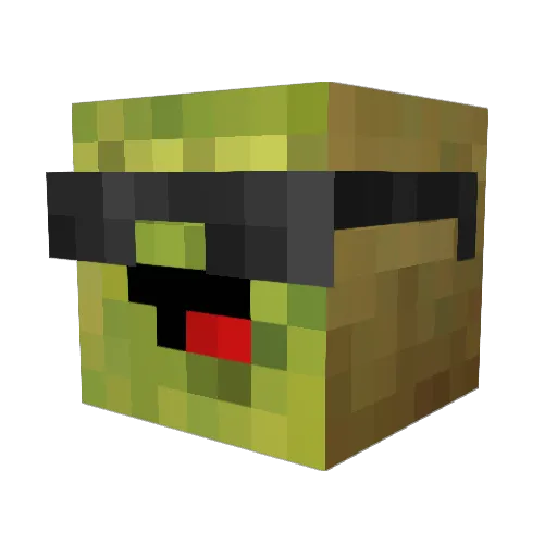 KingKiwi2 Minecraft avatar head, 3D render