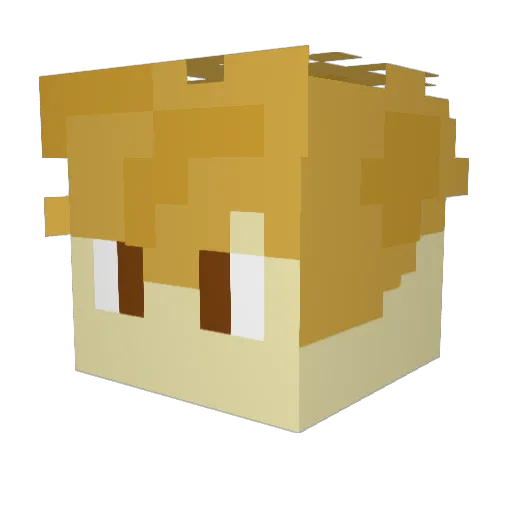KingLeo1357 Minecraft avatar head, 3D render