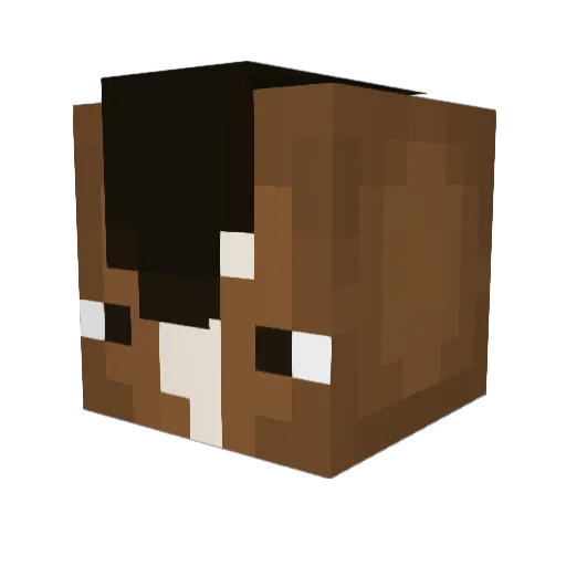 KingMicrowaveIII Minecraft avatar head, 3D render