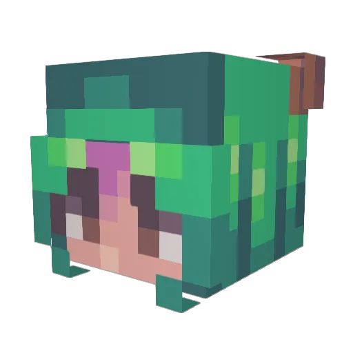 KingOfBurgerKing Minecraft avatar head, 3D render