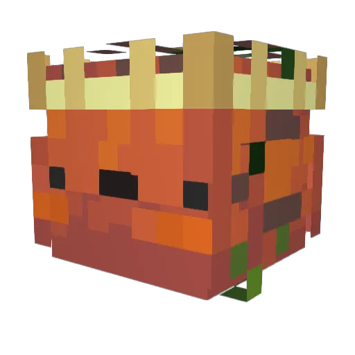 KingOfFlounders Minecraft avatar head, 3D render