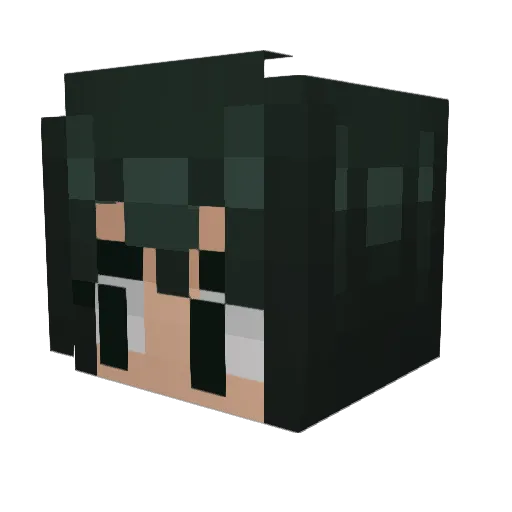 KingOfOwO Minecraft avatar head, 3D render