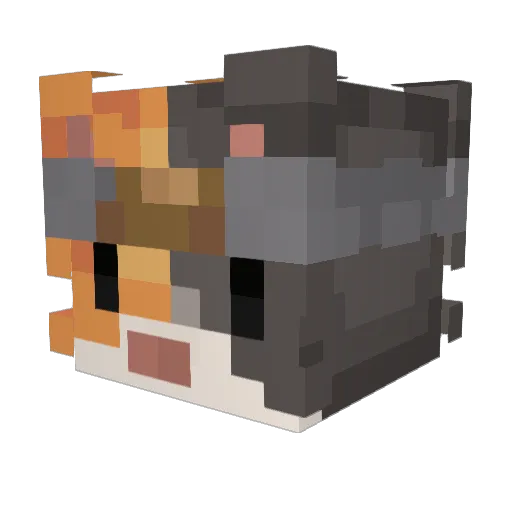 KingSharky2013 Minecraft avatar head, 3D render