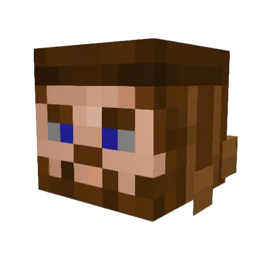 KingSleepingBag Minecraft avatar head, 3D render