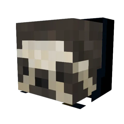 KingSlothSenpai Minecraft avatar head, 3D render