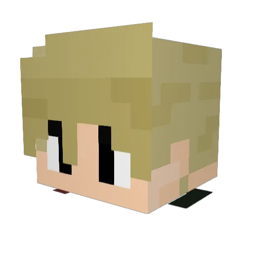 KingSpecial25 Minecraft avatar head, 3D render