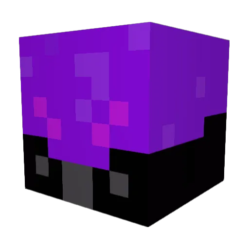 KingSplvsh Minecraft avatar head, 3D render