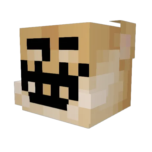 KingTanuki234 Minecraft avatar head, 3D render